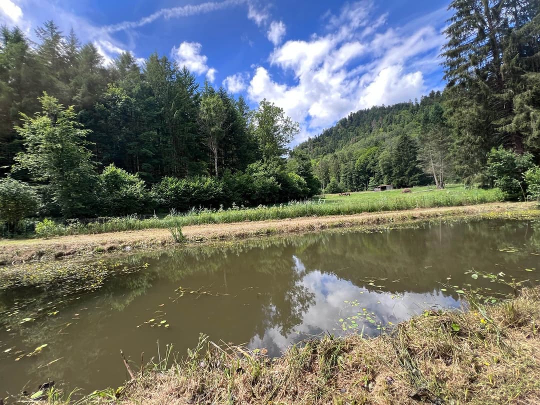 Etang à louer de loisir pour une journée au coeur de la nature 