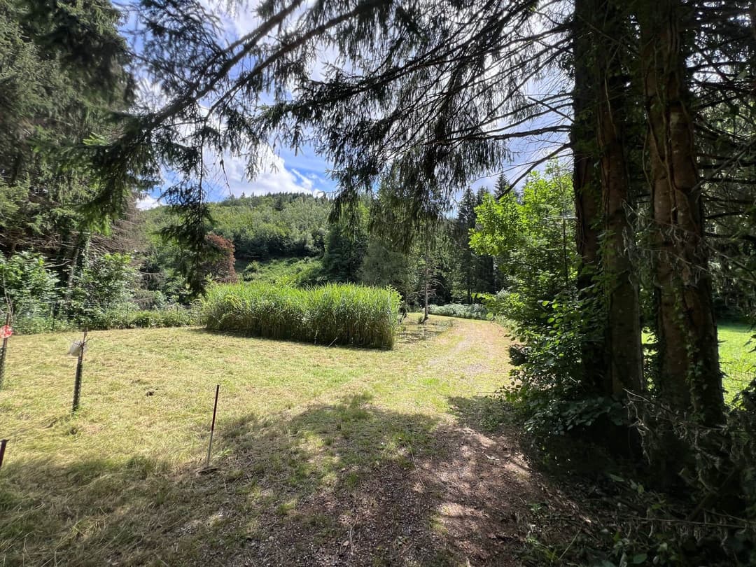 Etang à louer de loisir pour une journée au coeur de la nature 
