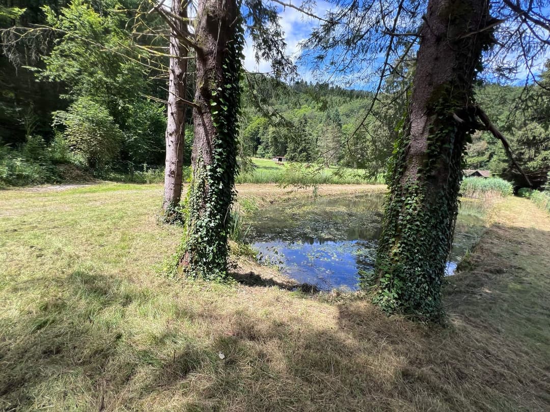 Etang à louer de loisir pour une journée au coeur de la nature 