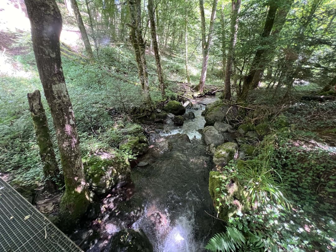 Etang à louer de loisir pour une journée au coeur de la nature 