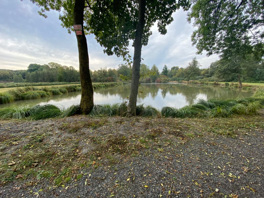 4 étangs pour un weekend pêche et barbecue en famille à côté de Paris 