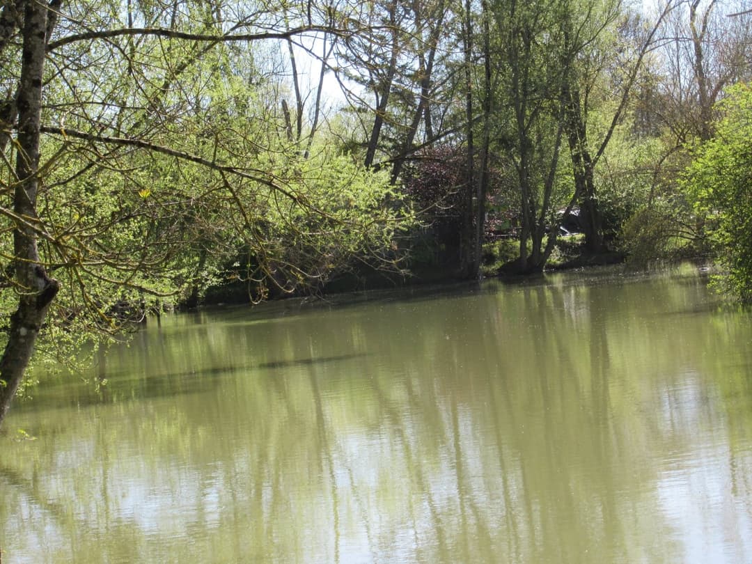 Location étang dans la Sarthe au coeur de la nature 