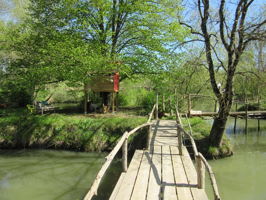 Location étang dans la Sarthe au coeur de la nature 