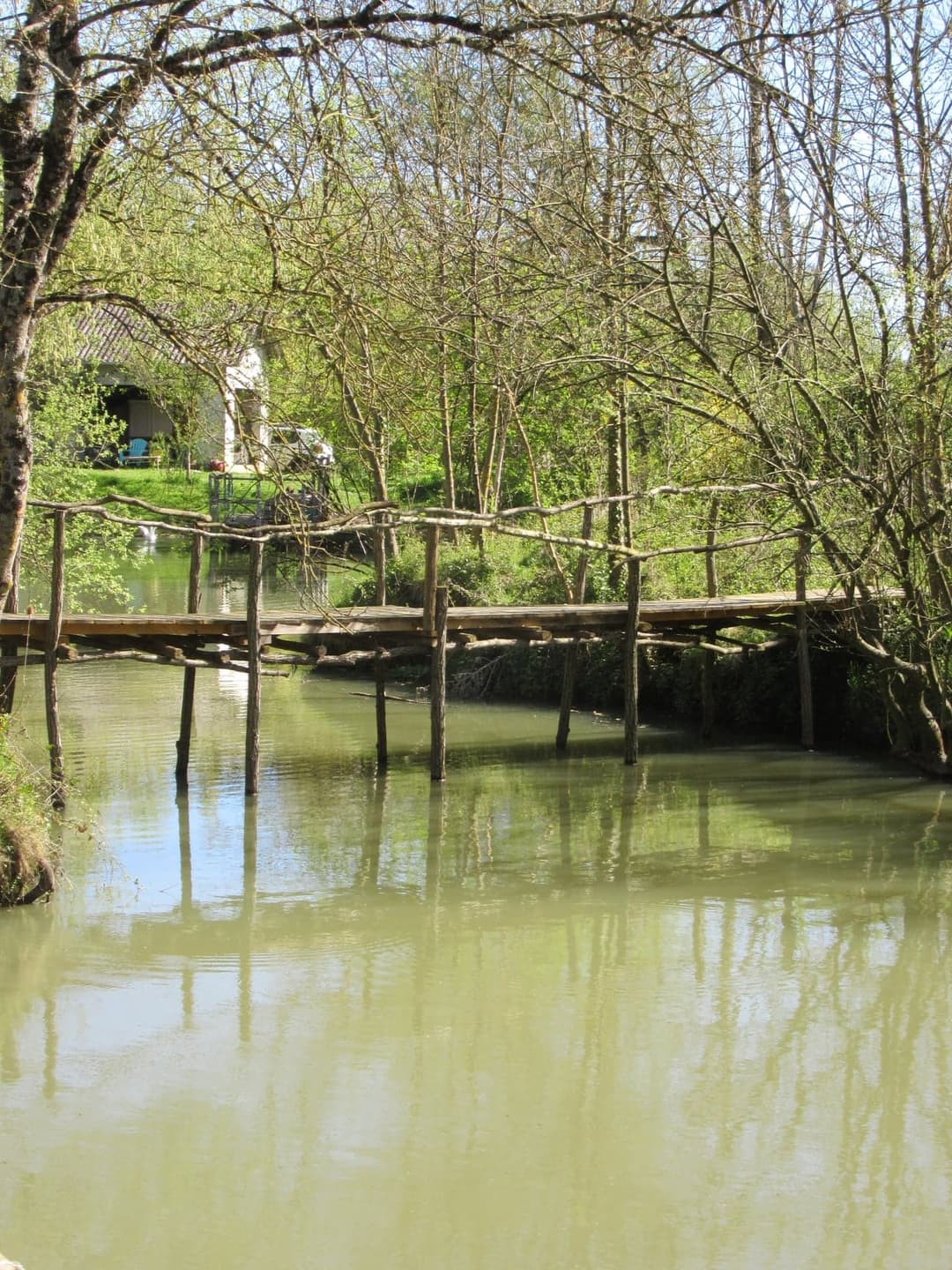 Location étang dans la Sarthe au coeur de la nature 