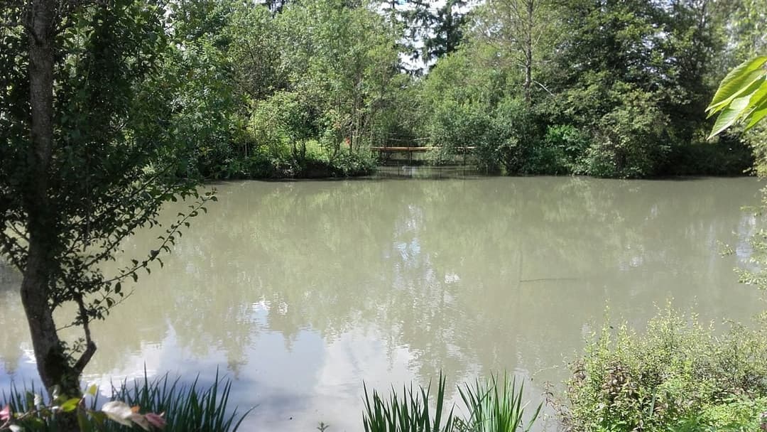 Location étang dans la Sarthe au coeur de la nature 