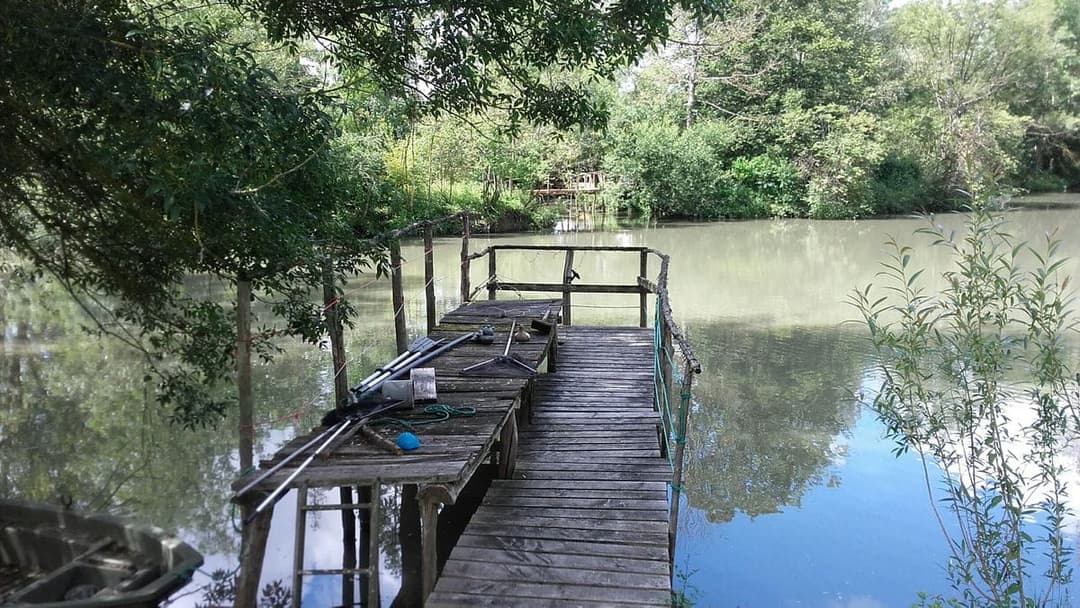 Location étang dans la Sarthe au coeur de la nature 