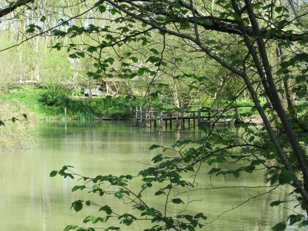 Location étang dans la Sarthe au coeur de la nature 