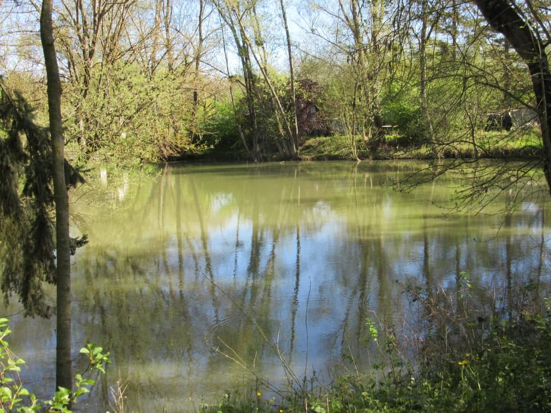 Location étang dans la Sarthe au coeur de la nature 