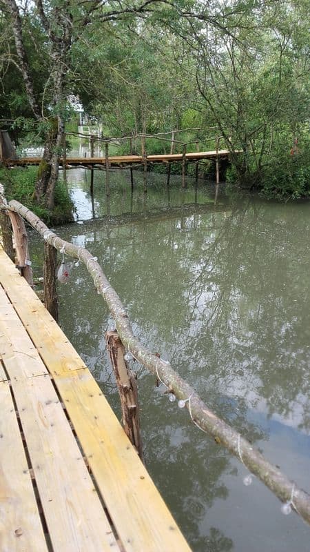Location étang dans la Sarthe au coeur de la nature 