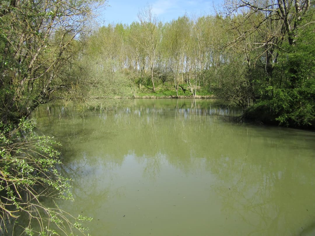 Location étang dans la Sarthe au coeur de la nature 