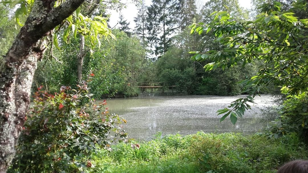 Location étang dans la Sarthe au coeur de la nature 