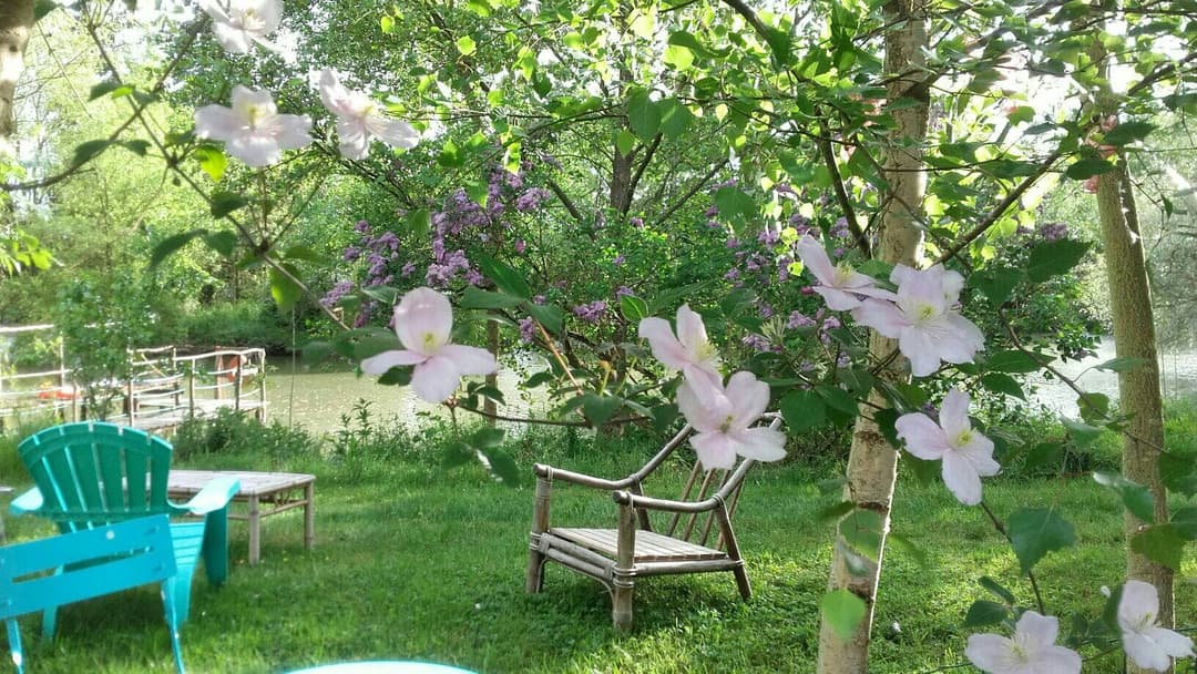 Location étang dans la Sarthe au coeur de la nature 