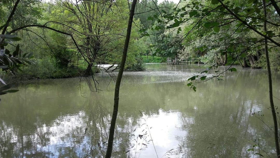Location étang dans la Sarthe au coeur de la nature 