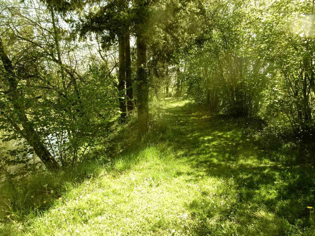 Location étang dans la Sarthe au coeur de la nature 