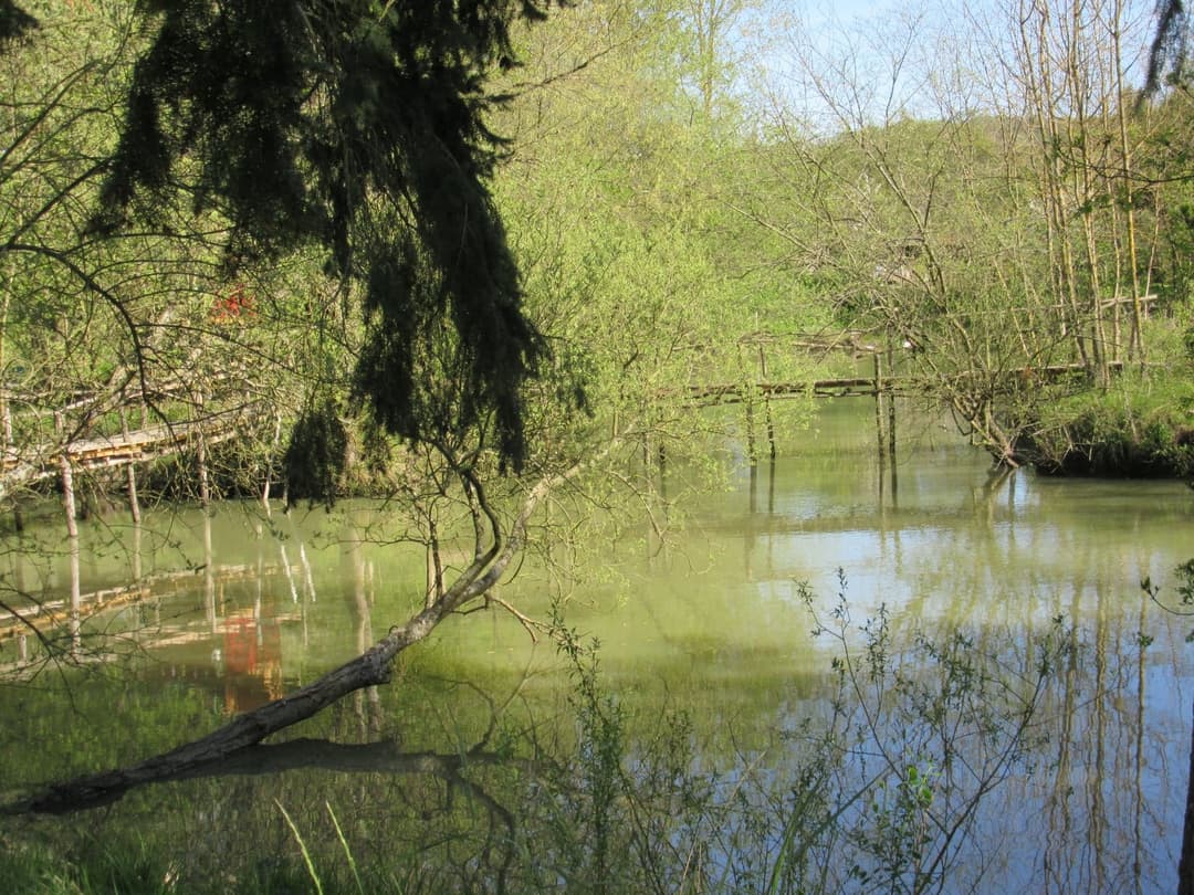 Location étang dans la Sarthe au coeur de la nature 