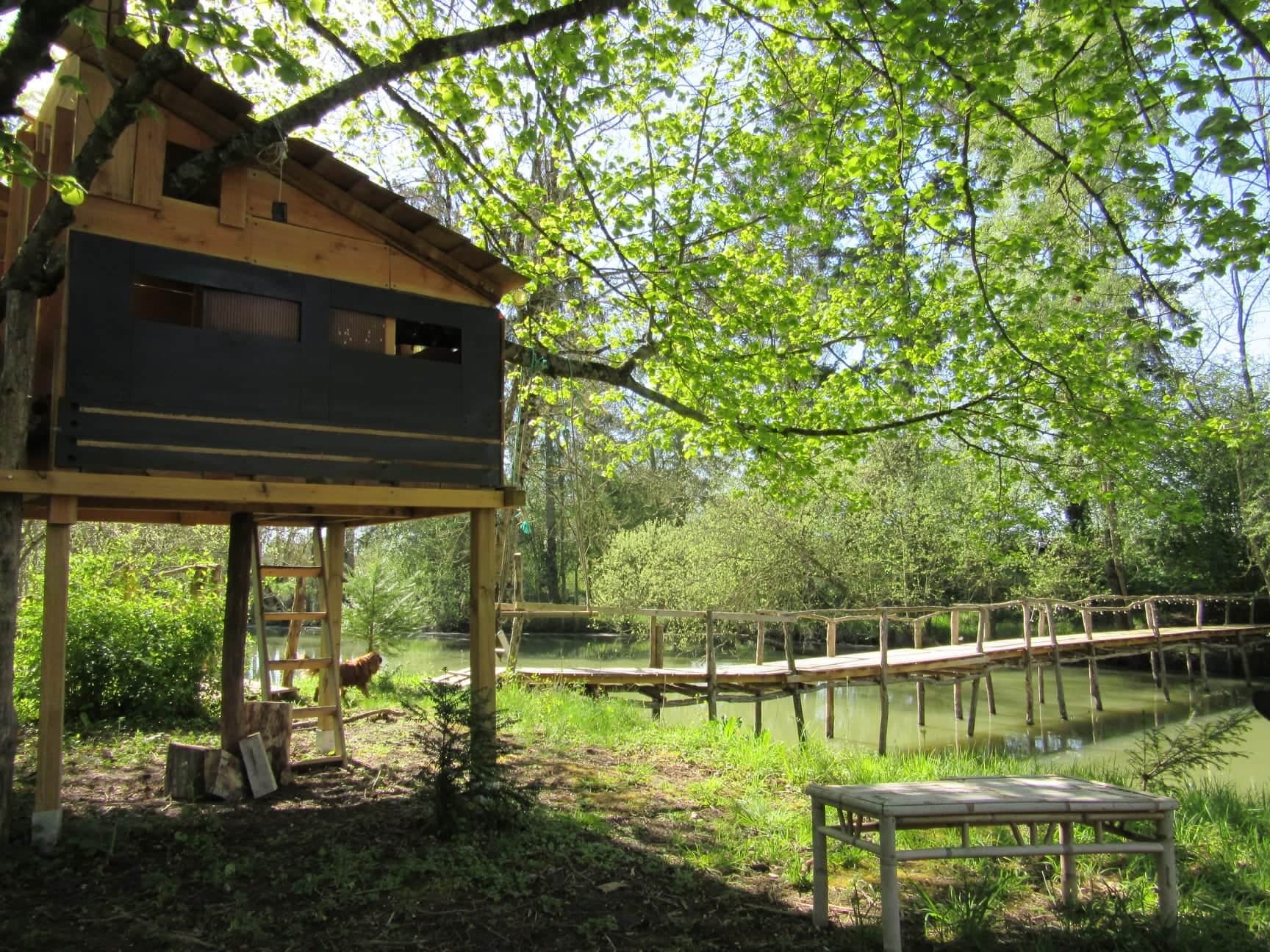 Location étang dans la Sarthe au coeur de la nature 