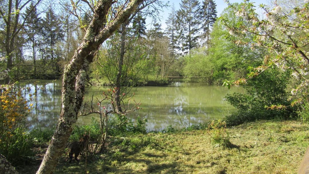 Location étang dans la Sarthe au coeur de la nature 