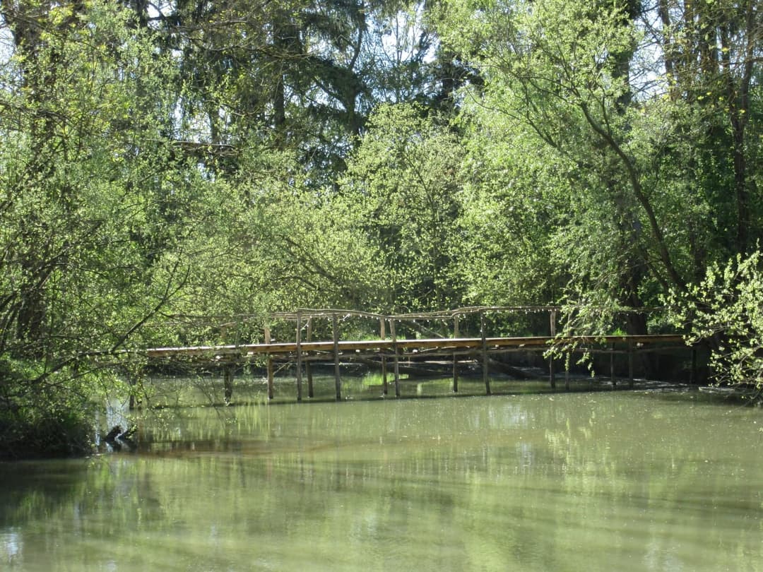 Location étang dans la Sarthe au coeur de la nature 