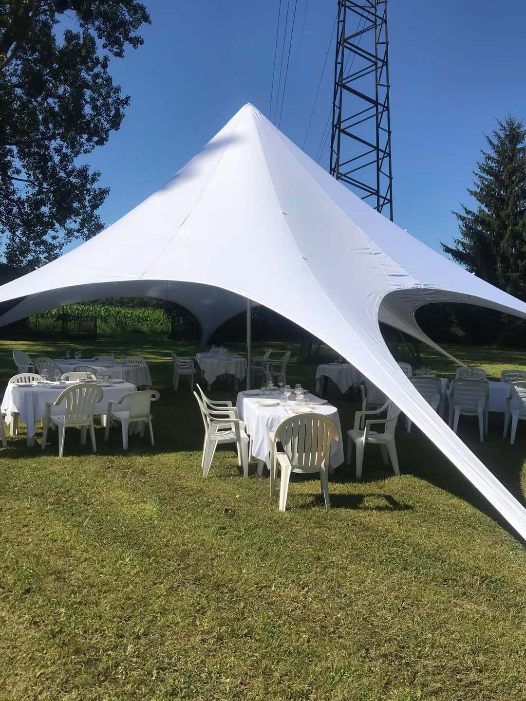 Etang à louer en Alsace de 1.5ha, l’endroit pour faire une belle fête de famille 