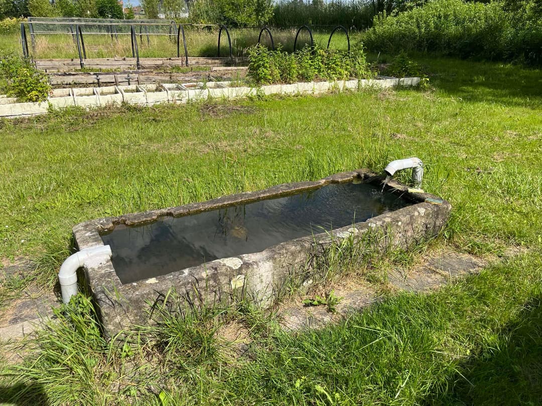 Etang à louer en Alsace de 1.5ha, l’endroit pour faire une belle fête de famille 