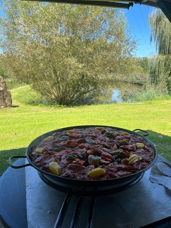 Etang à louer en Alsace de 1.5ha, l’endroit pour faire une belle fête de famille 