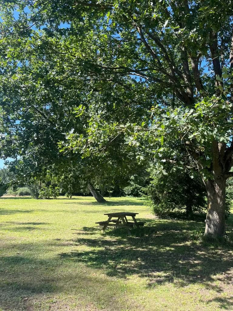 Etang à louer en Alsace de 1.5ha, l’endroit pour faire une belle fête de famille 