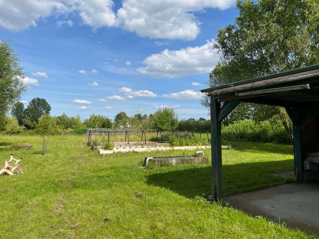 Etang à louer en Alsace de 1.5ha, l’endroit pour faire une belle fête de famille 