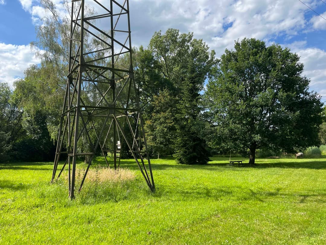 Etang à louer en Alsace de 1.5ha, l’endroit pour faire une belle fête de famille 