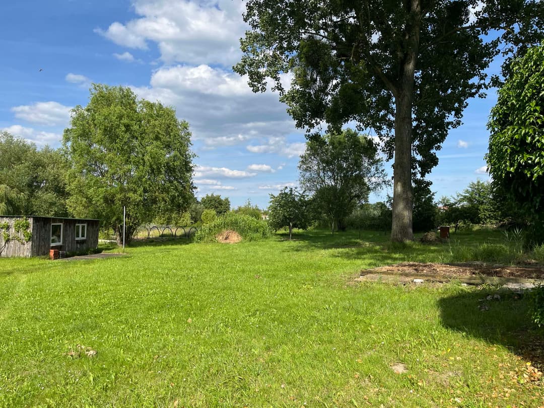 Etang à louer en Alsace de 1.5ha, l’endroit pour faire une belle fête de famille 