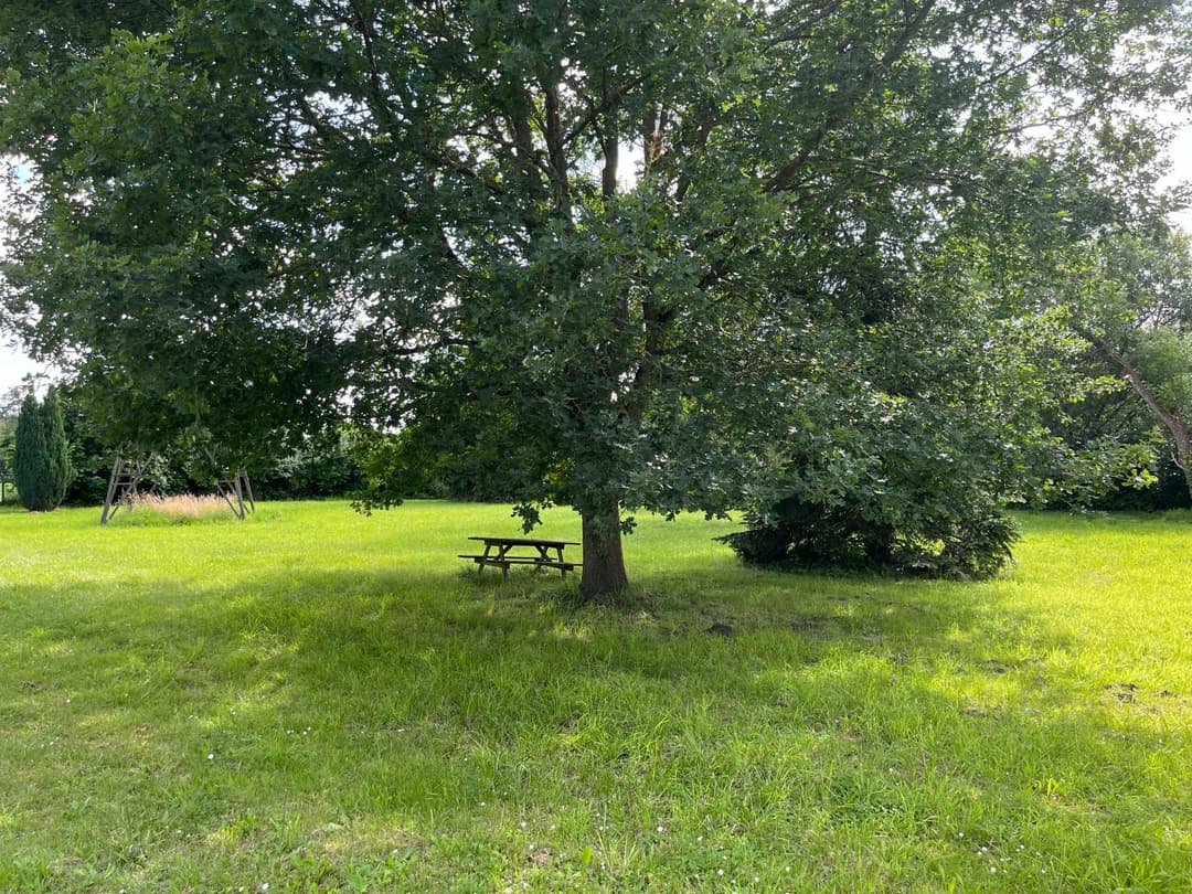 Etang à louer en Alsace de 1.5ha, l’endroit pour faire une belle fête de famille 