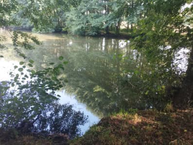 Etang à louer pour les vacances avec son mobil home dans le département de Maine-et-Loire 