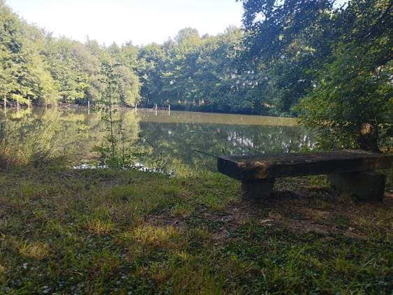 Etang à louer pour les vacances avec son mobil home dans le département de Maine-et-Loire 