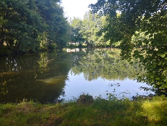 Etang à louer pour les vacances avec son mobil home dans le département de Maine-et-Loire 