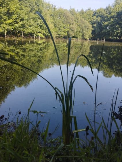 Etang à louer pour les vacances avec son mobil home dans le département de Maine-et-Loire 