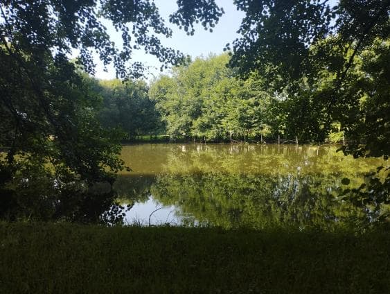 Etang à louer pour les vacances avec son mobil home dans le département de Maine-et-Loire 