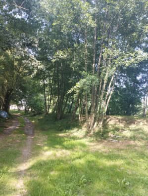 Etang à louer pour les vacances avec son mobil home dans le département de Maine-et-Loire 