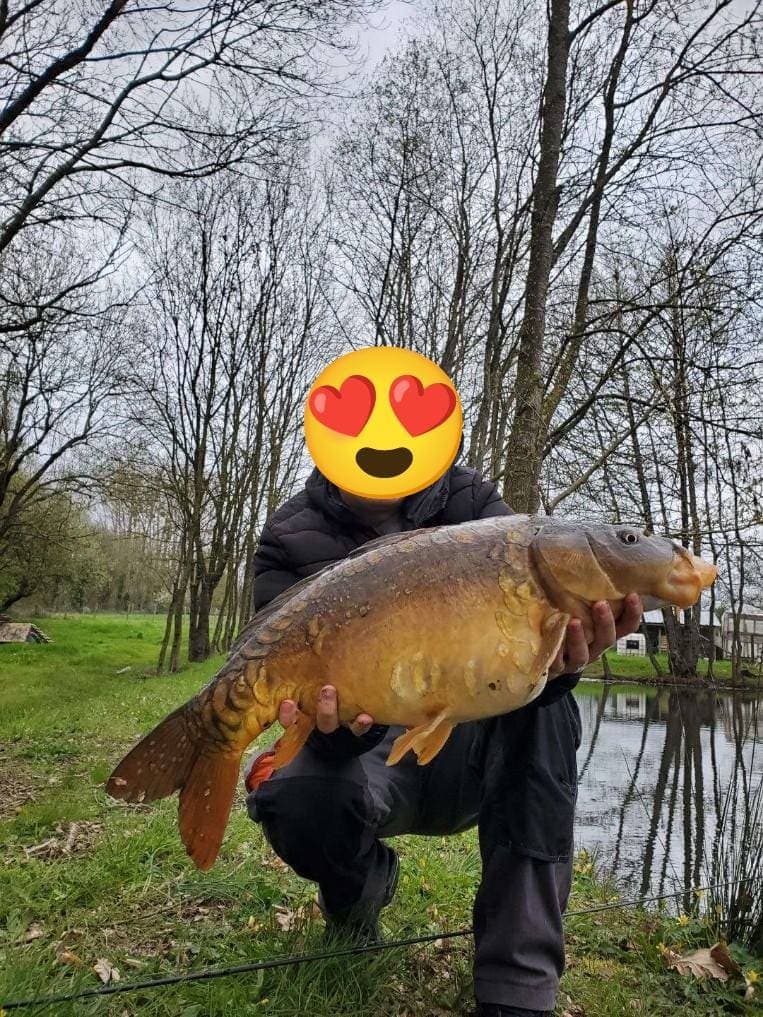 Etang à louer pour les vacances avec son mobil home dans le département de Maine-et-Loire 