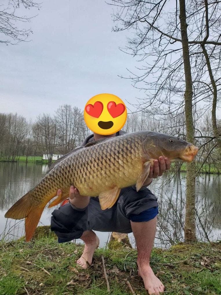 Etang à louer pour les vacances avec son mobil home dans le département de Maine-et-Loire 