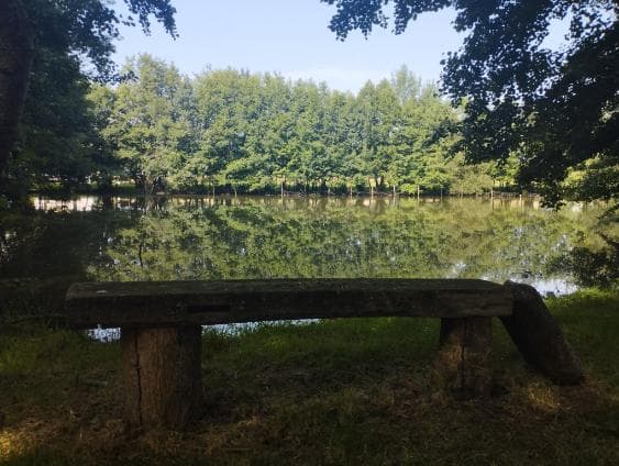 Etang à louer pour les vacances avec son mobil home dans le département de Maine-et-Loire 