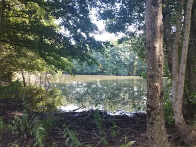 Etang à louer pour les vacances avec son mobil home dans le département de Maine-et-Loire 