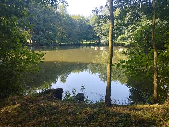 Etang à louer pour les vacances avec son mobil home dans le département de Maine-et-Loire 