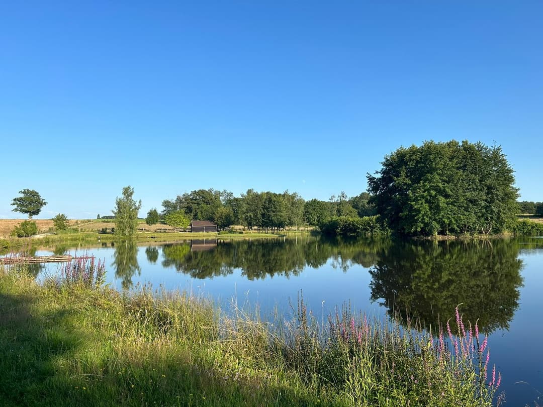 Etang à louer de 1.5ha avec une cabane 