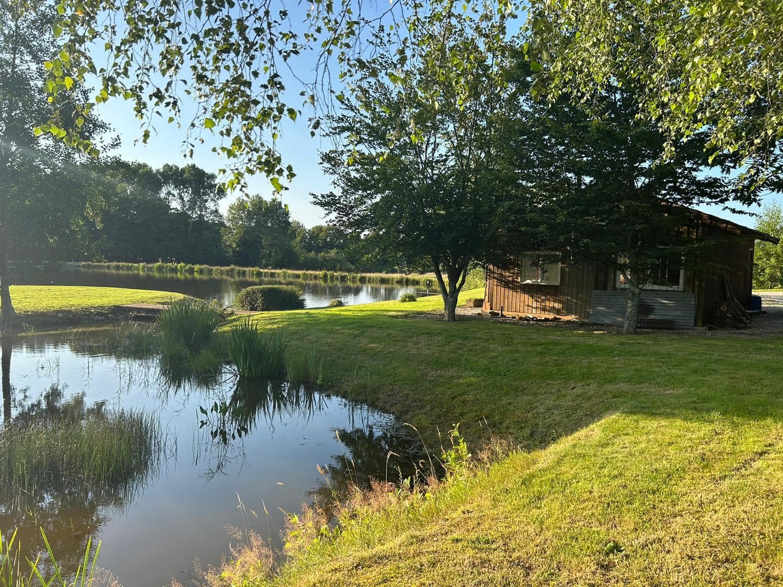 Etang à louer de 1.5ha avec une cabane 