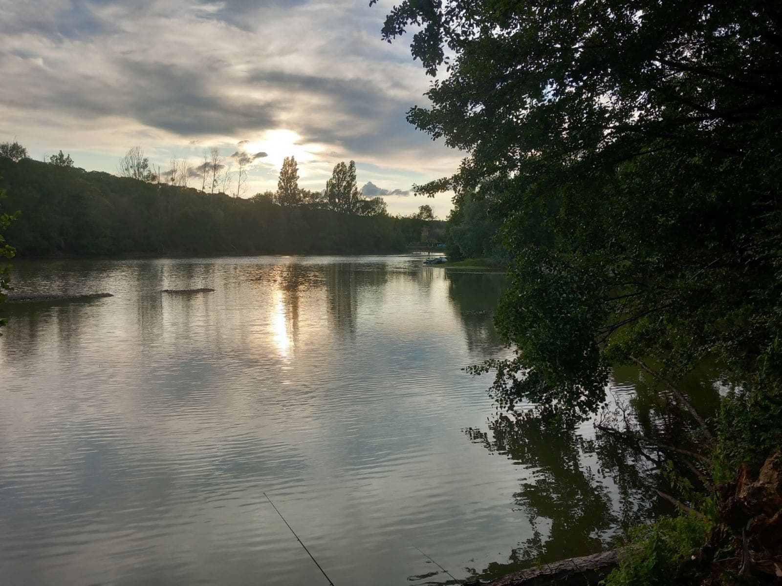 Etang de 6ha avec son mobil home 