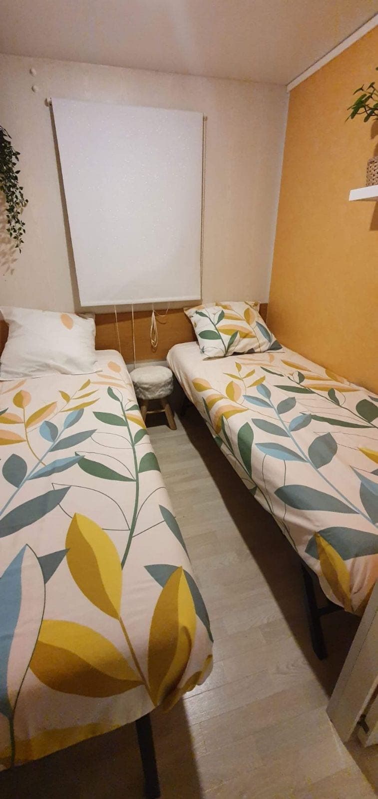 Etang de 6ha avec son mobil home 
