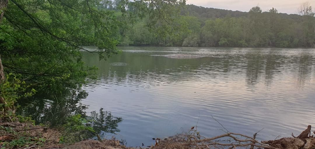 Etang de 6ha avec son mobil home 