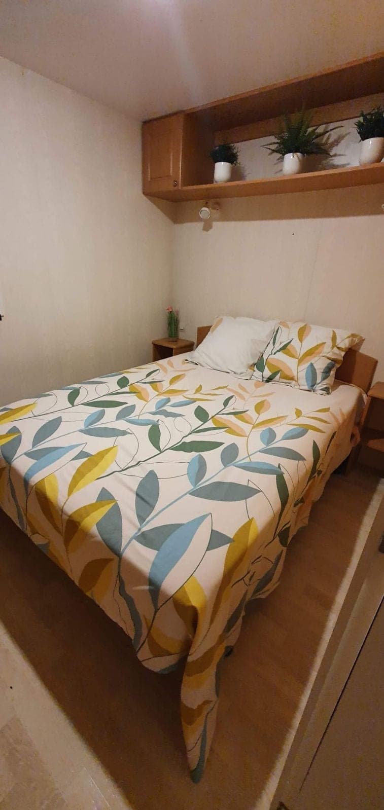Etang de 6ha avec son mobil home 
