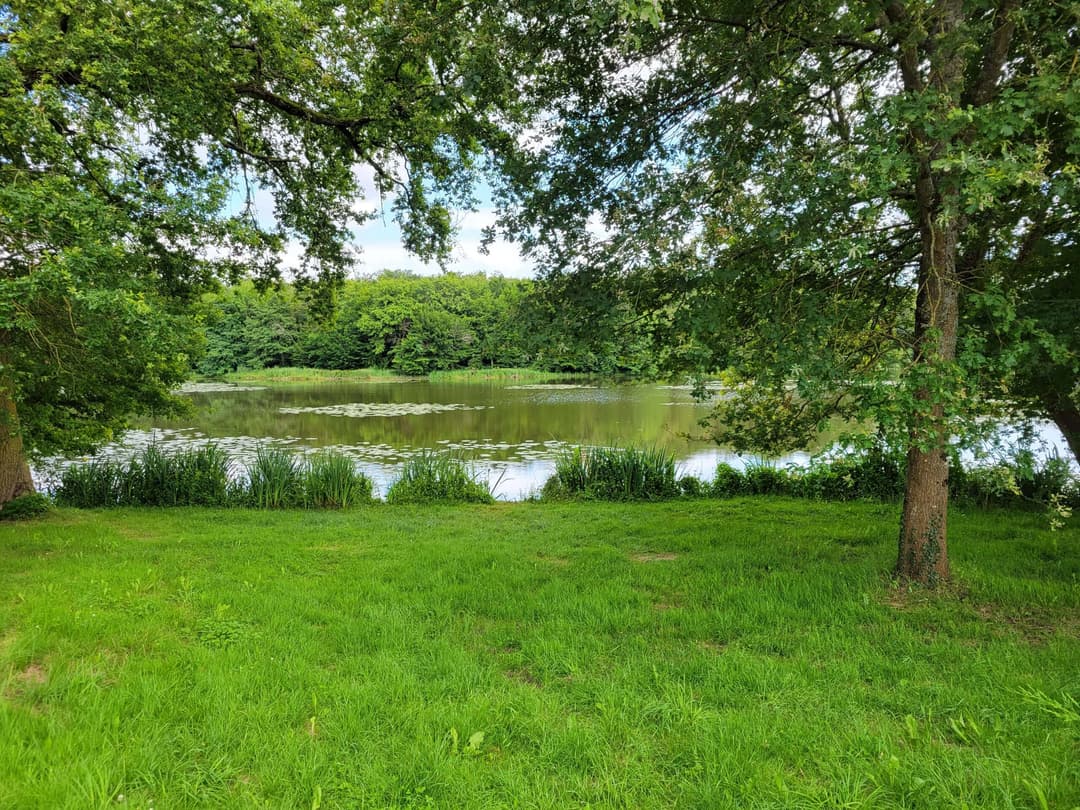 Gite détente au jardin  en pleine nature avec étang de 9 hectares 