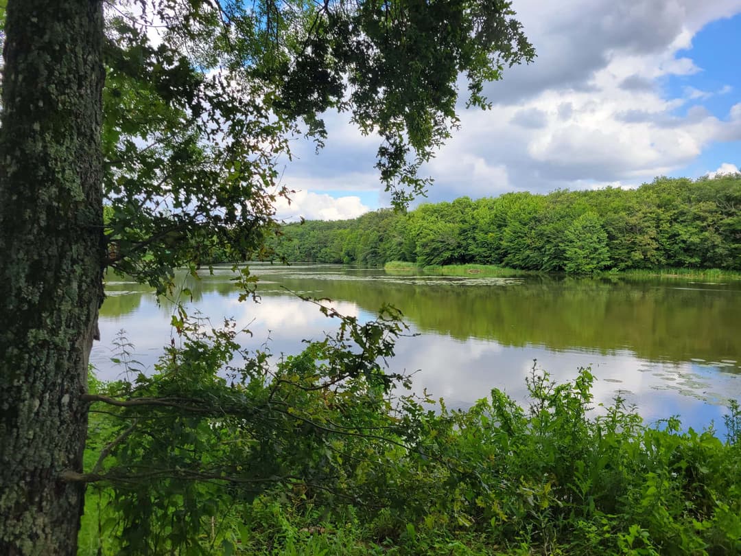 Gite détente au jardin  en pleine nature avec étang de 9 hectares 