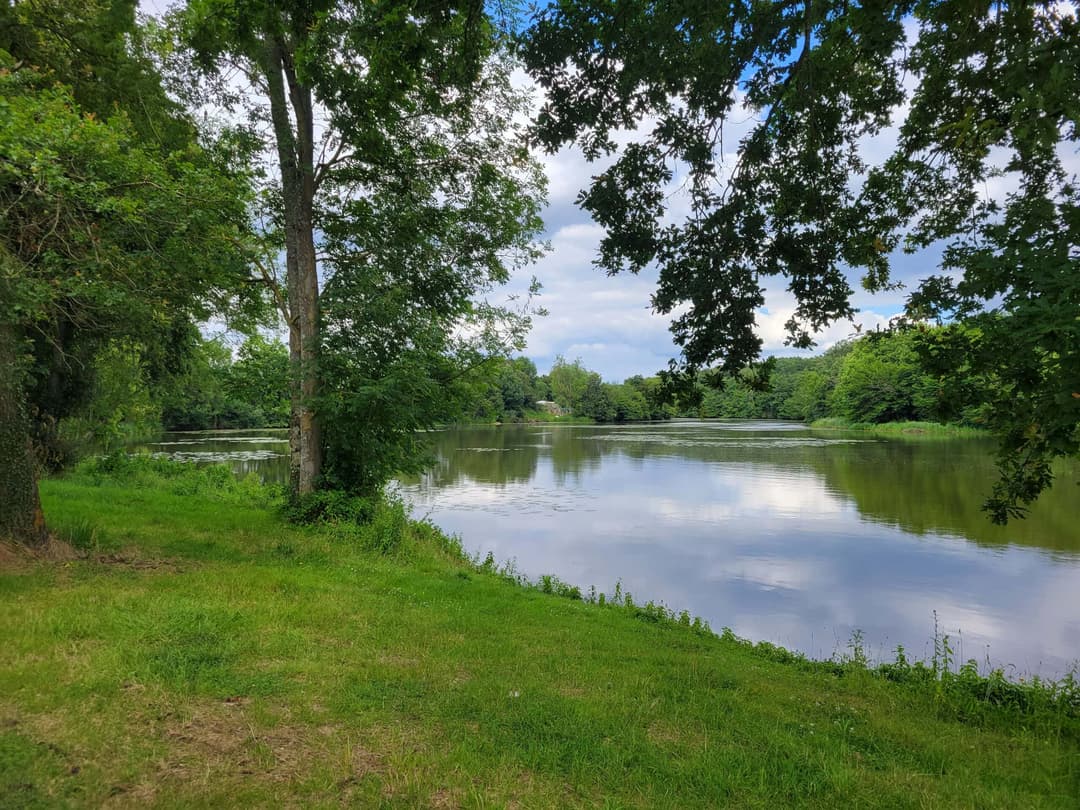 Roulotte au fond du jardin  et son étang de 9 hectares avec de gros spécimens 